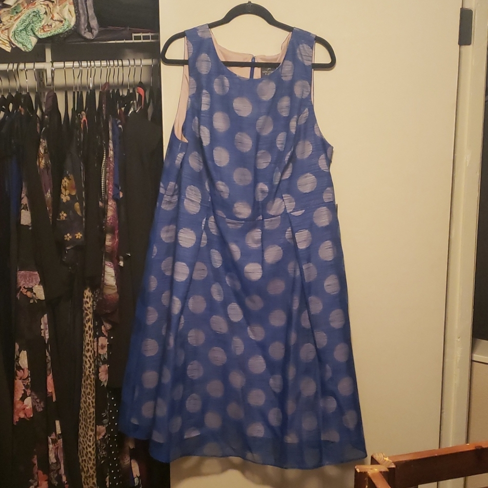 Adrianna Papell dress